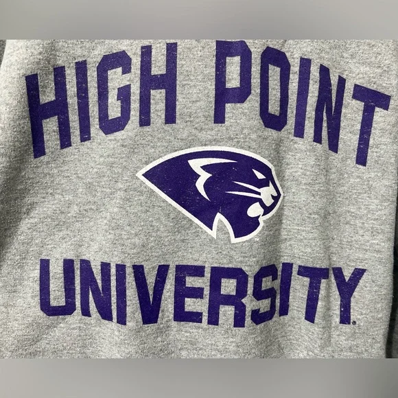 Champion High Point University Panthers Gray Crewneck Sweatshirt - Picture 3 of 10